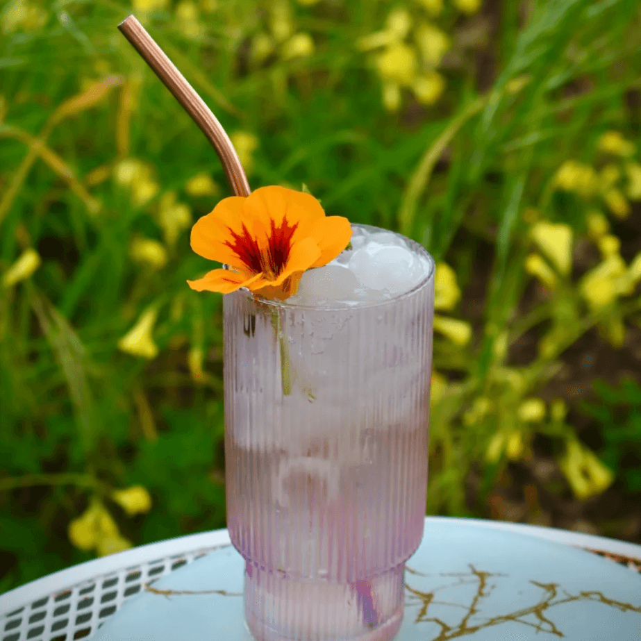 Honey and Rose portfolio 4