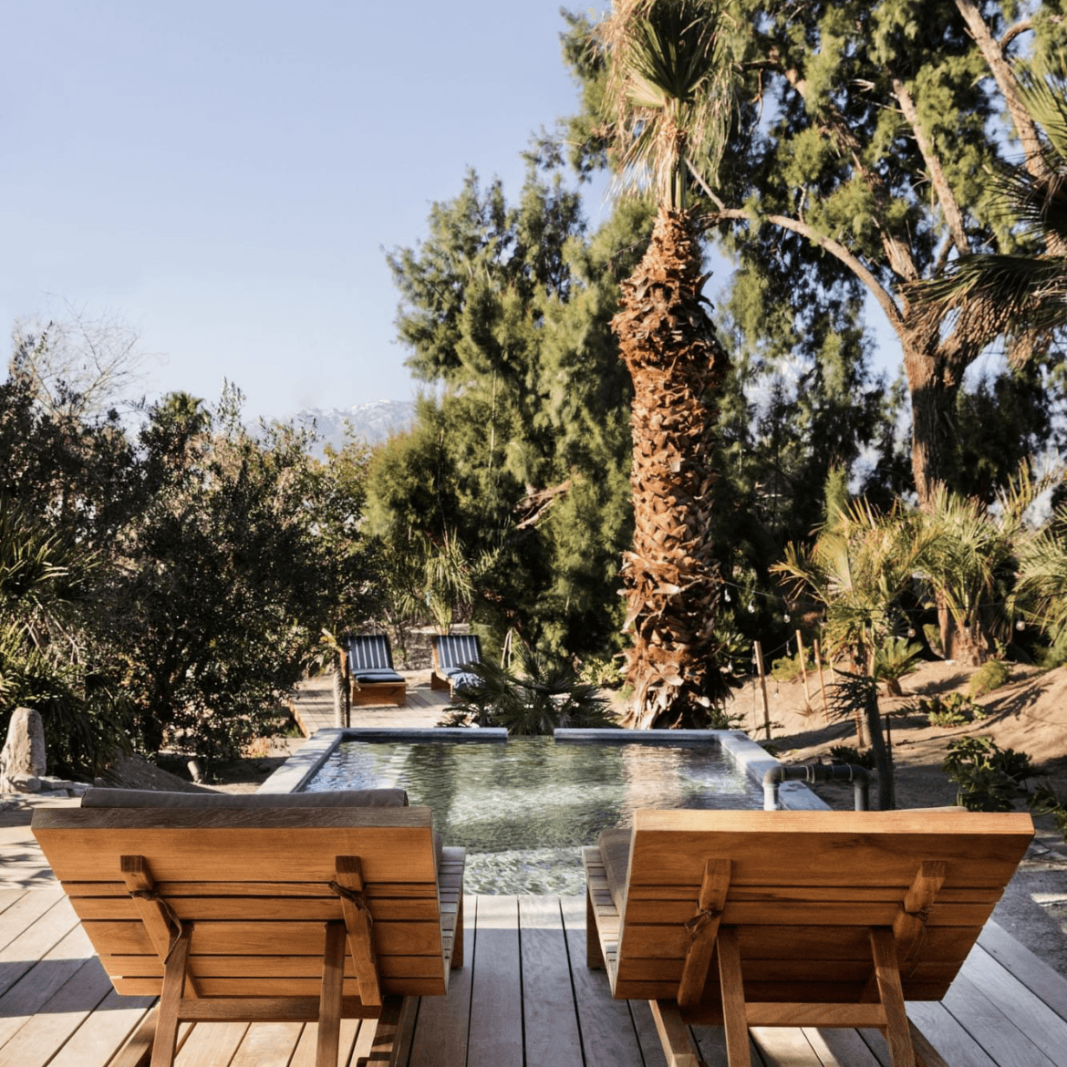 Two Bunch Palms  portfolio 5