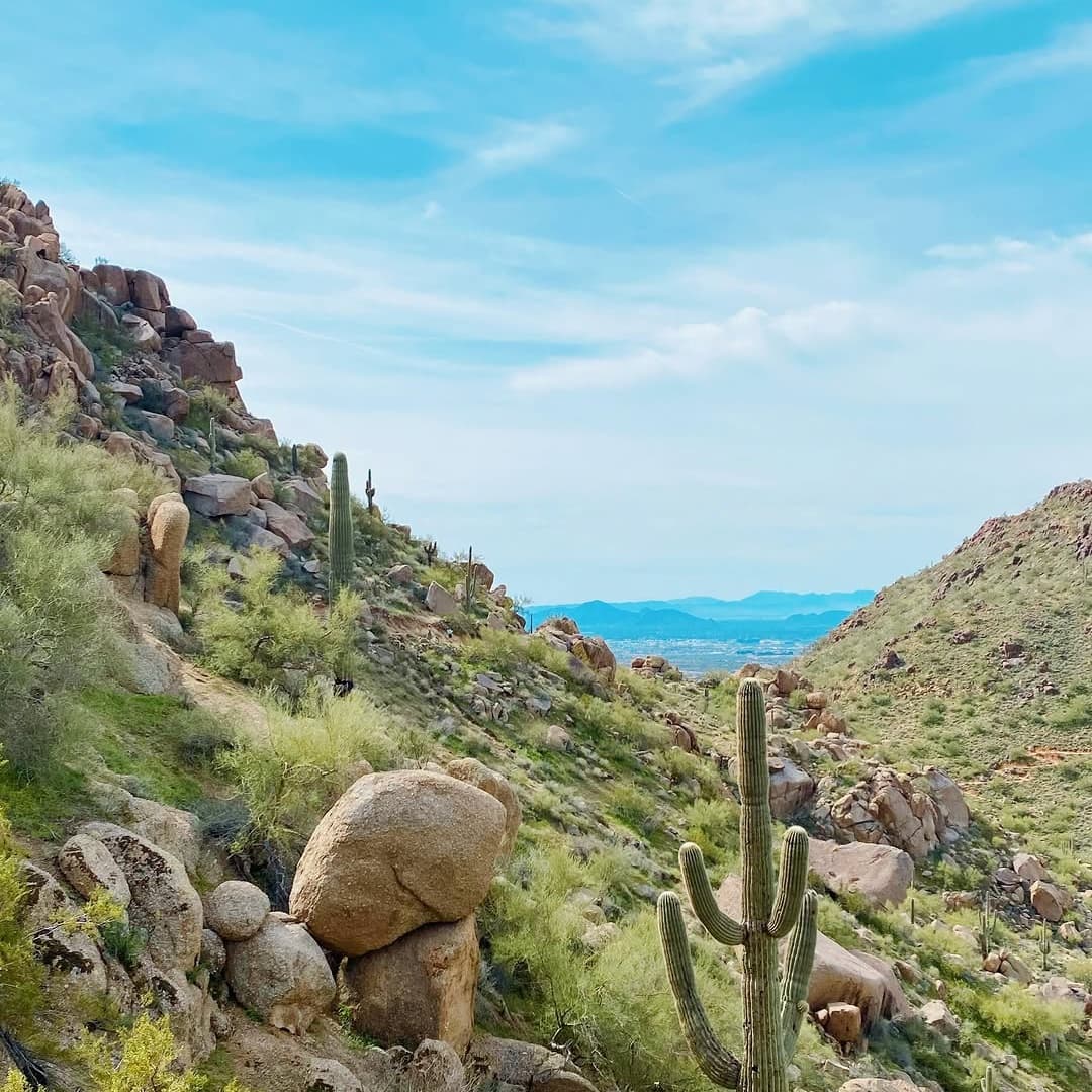 The Farm at South Mountain 2