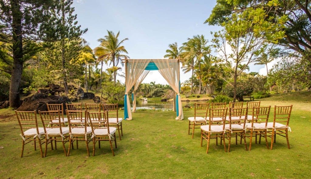 Lotus Meadow