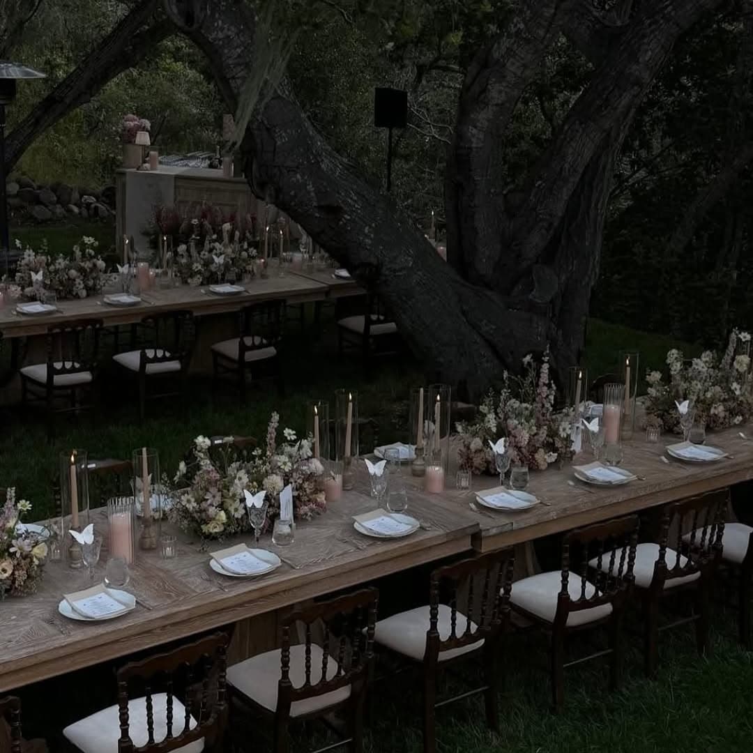 Pied Piper Ranch portfolio 4