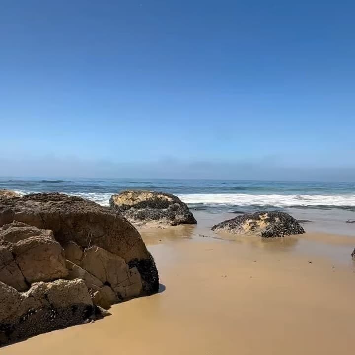 The Beachcomber Cafe portfolio 5