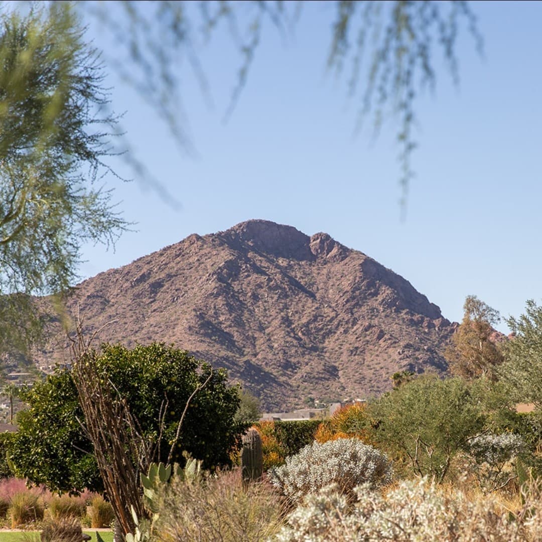 Andaz Scottsdale Resort & Bungalows 2