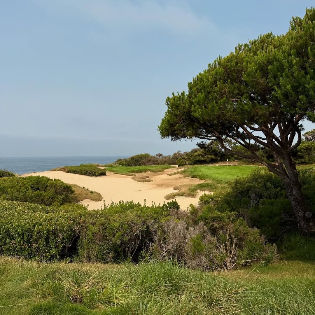 The Beachcomber Cafe