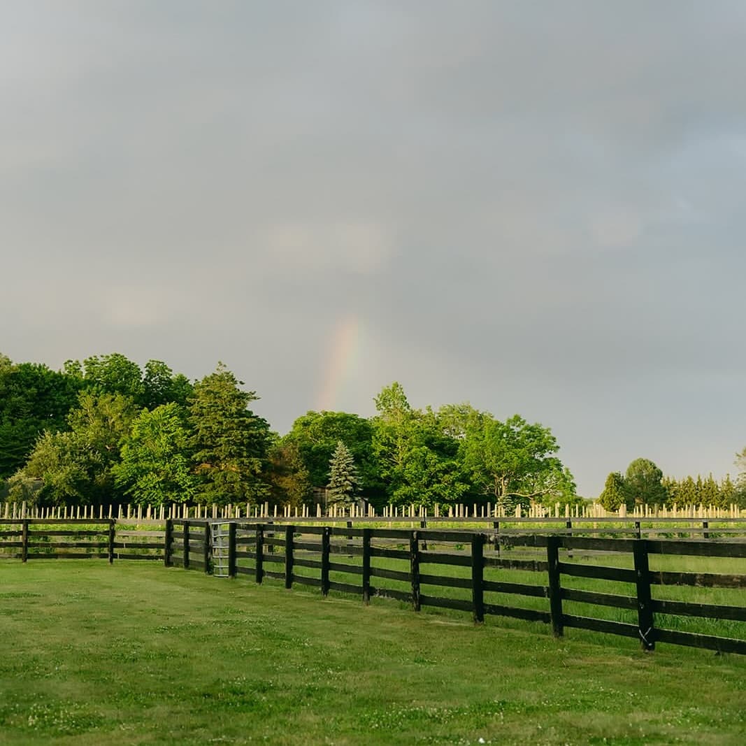 RGNY Vineyard portfolio 2