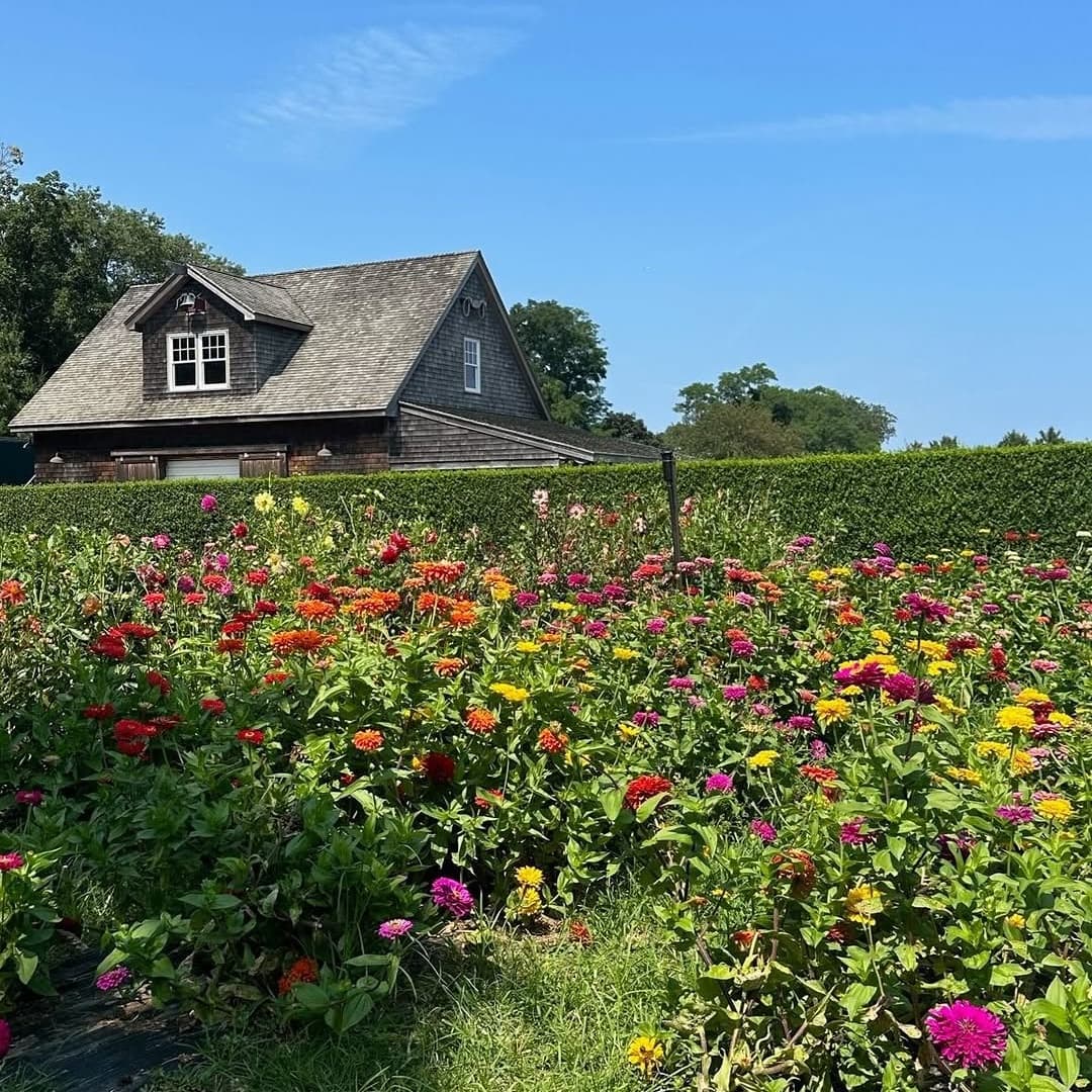 Breeze Hill Farm & Preserve