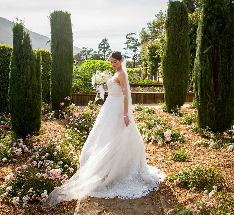 Rose Garden