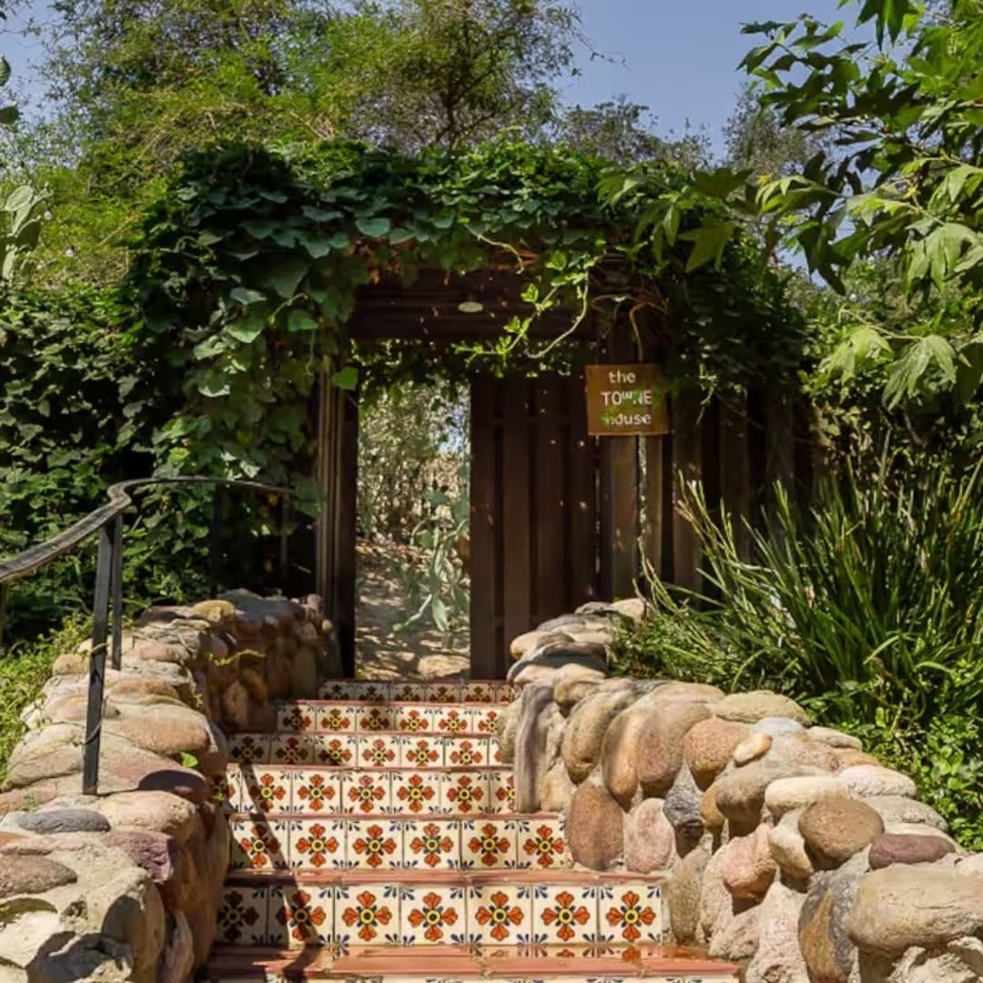 Rancho Las Lomas portfolio 4