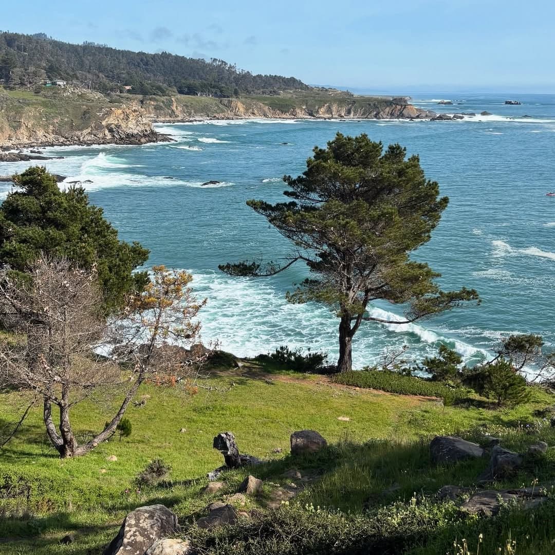 Timber Cove Resort portfolio 2