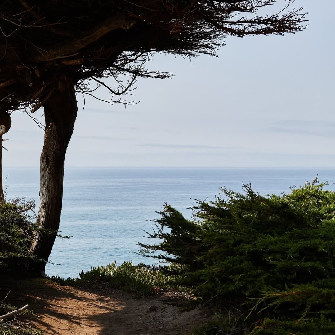 Mar Vista Farm portfolio 4