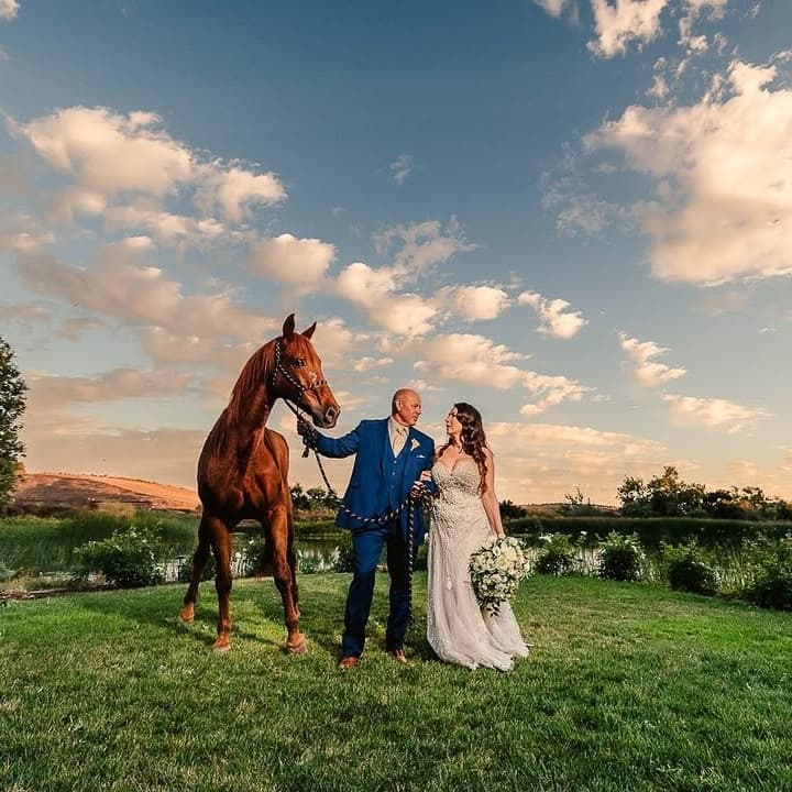 Venue Only (peak season)