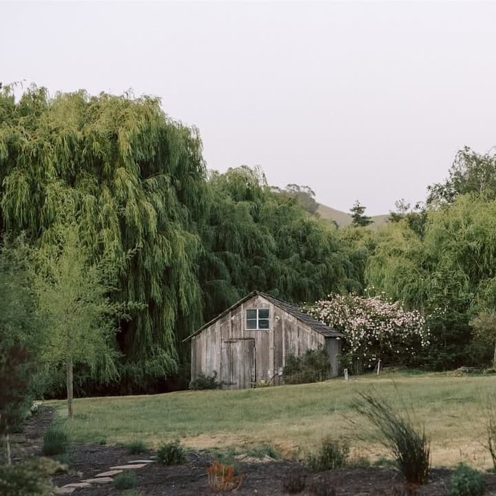 Olympia's Valley portfolio 3
