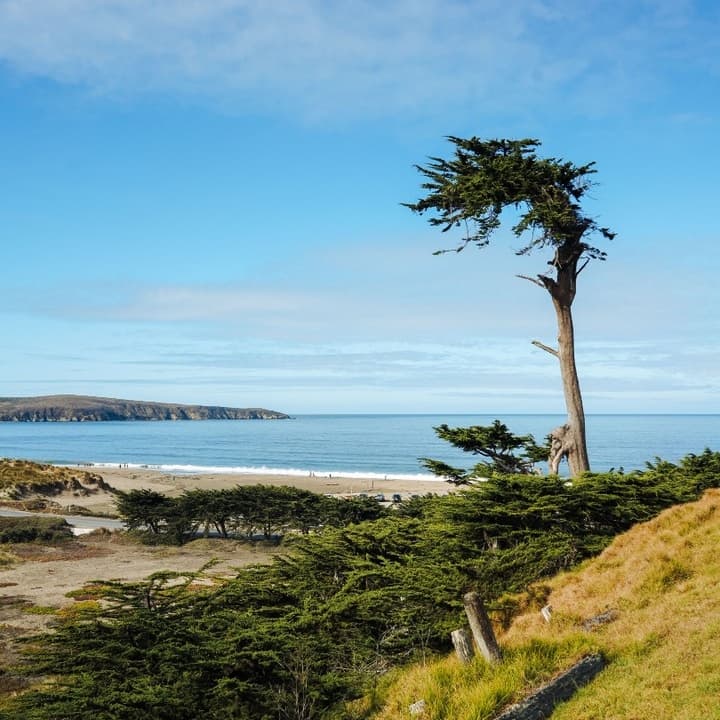Dillon Beach Resort portfolio 5