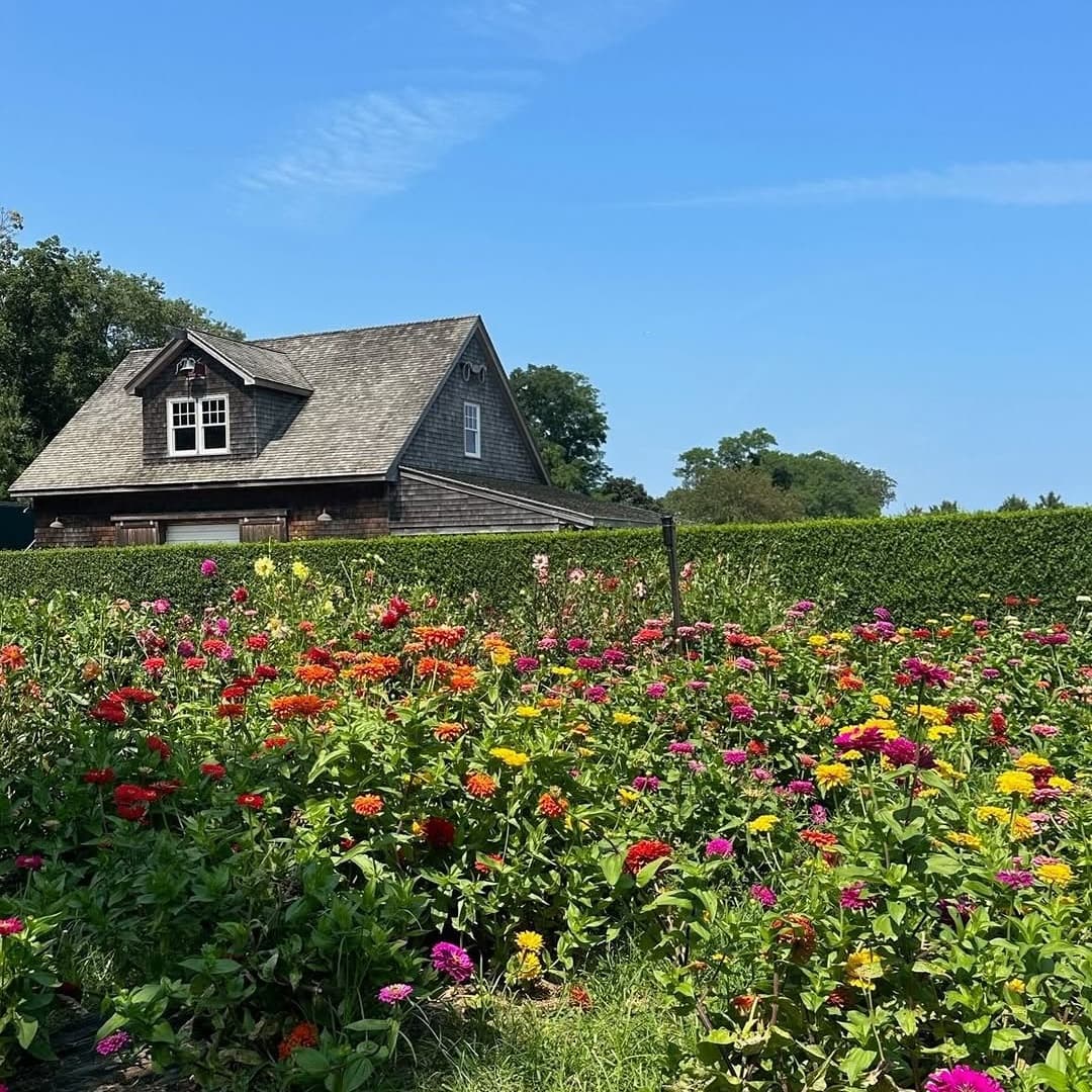 Breeze Hill Farm & Preserve portfolio 3