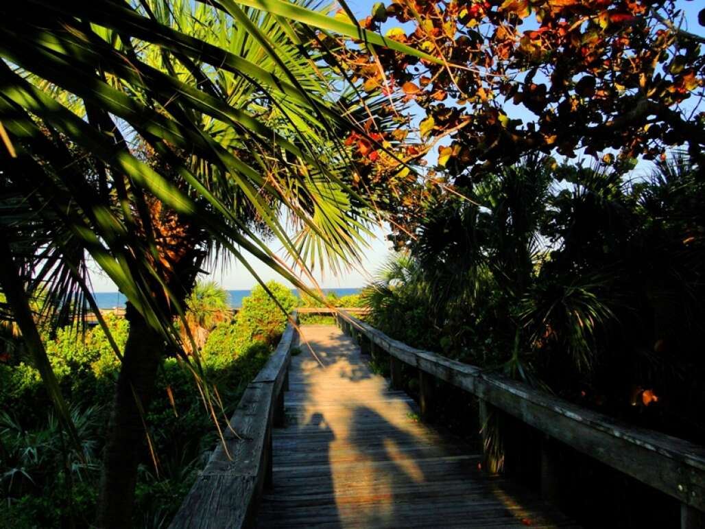 Lori Wilson Park — Cocoa Beach