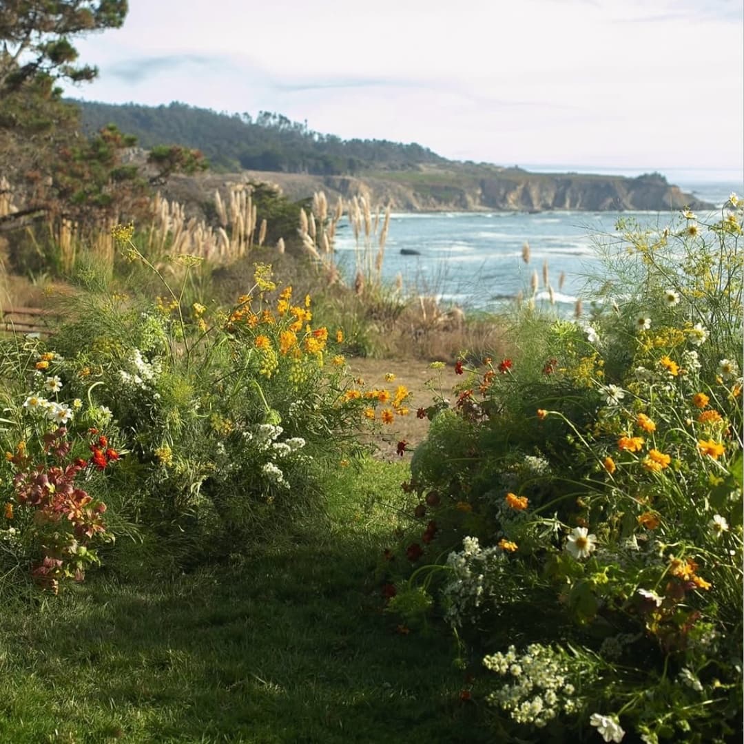 Timber Cove Resort portfolio 4