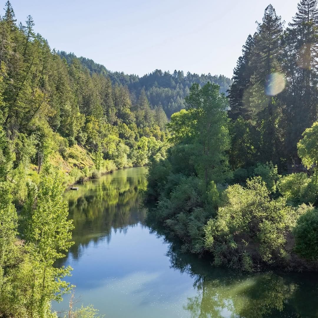 Mar Vista Farm portfolio 2