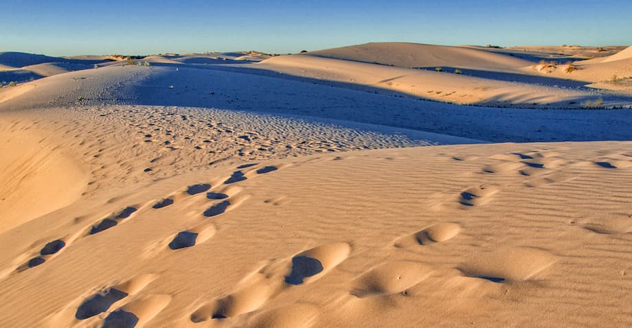 Monahans Sandhills State Park — Active Dune Field