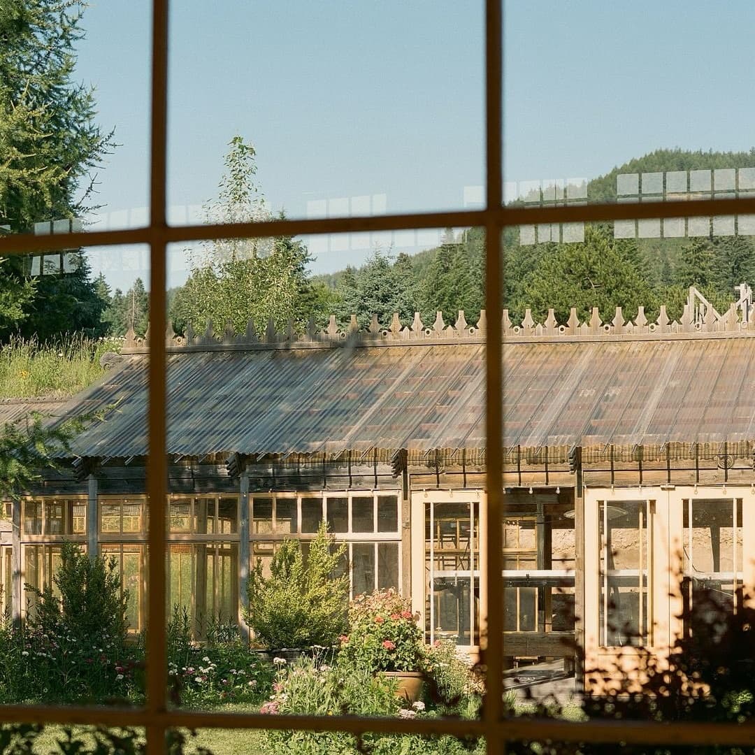 Mt Hood Organic Farms  portfolio 5