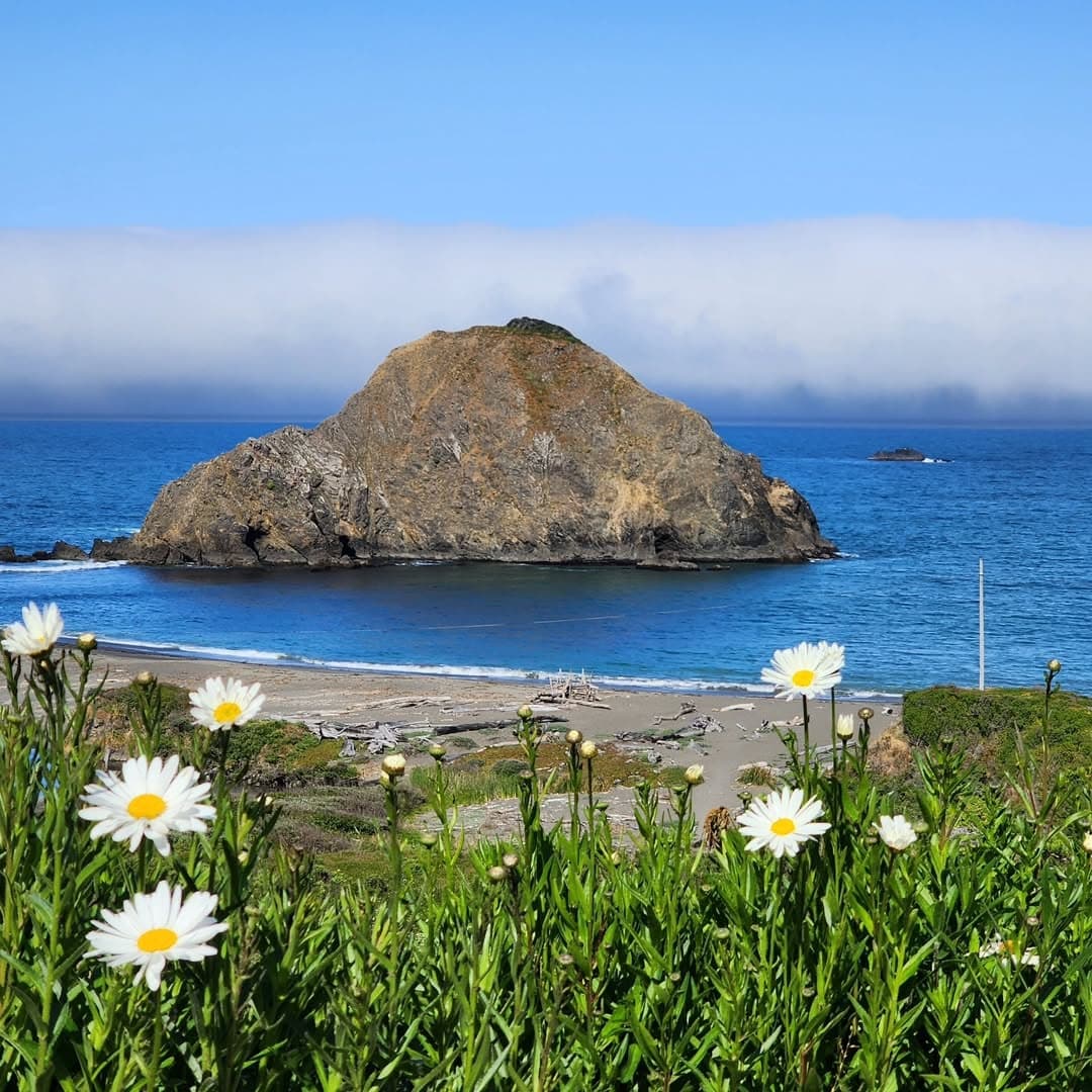 Elk Cove Inn & Spa 3