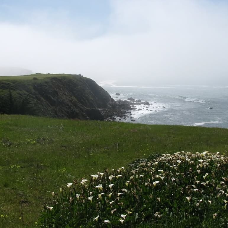 Timber Cove Resort portfolio 6