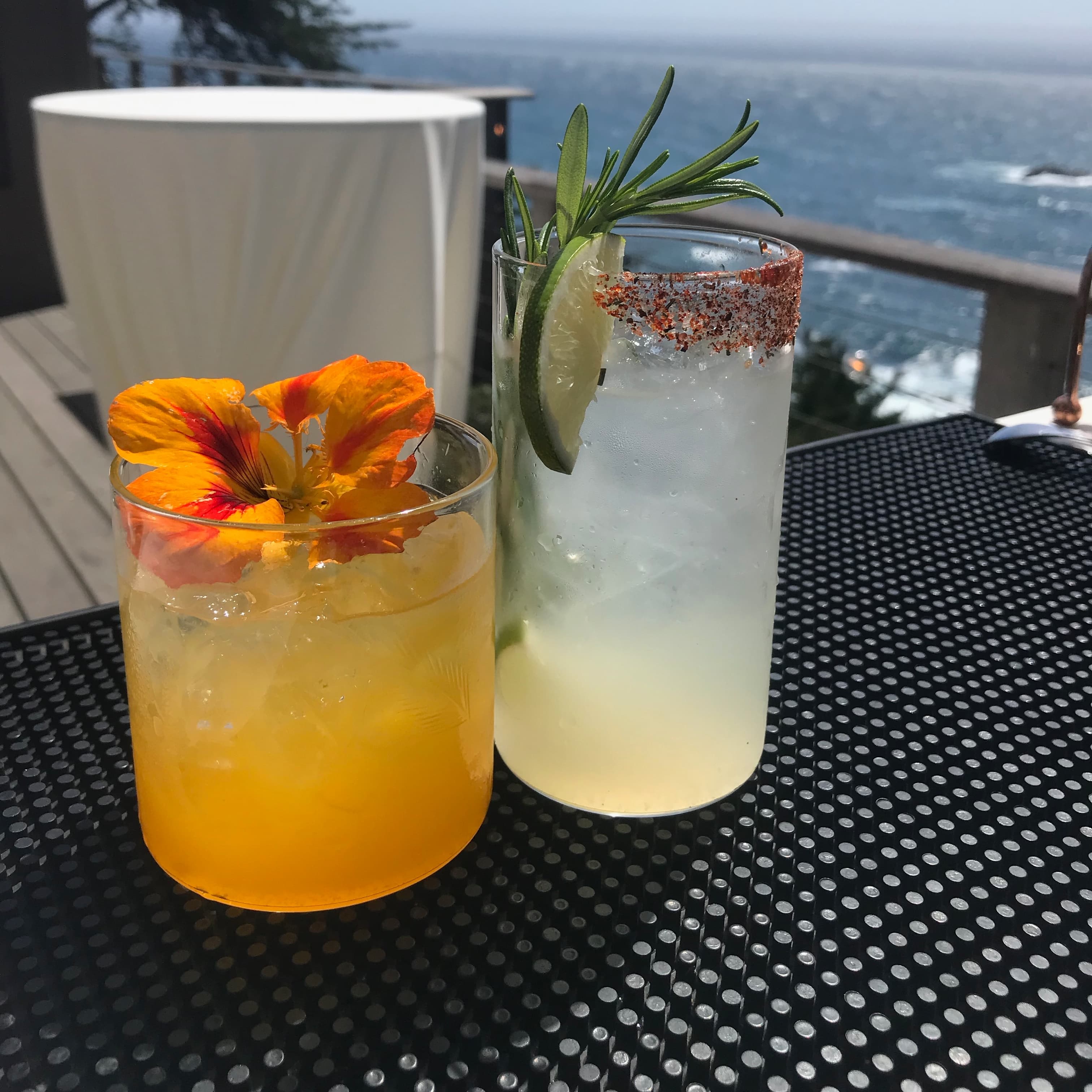 WildlCraft Cocktail 50ppl