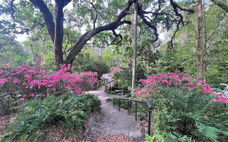 Dickson Azalea Park