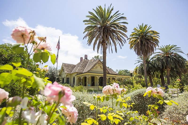 Fullerton Arboretum portfolio 3