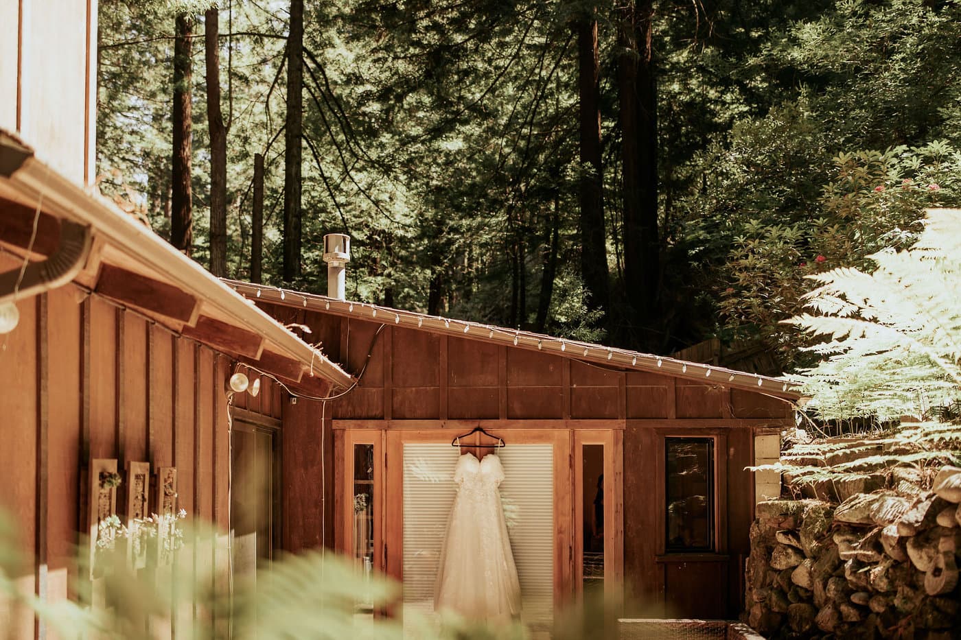Sur Grove Big Sur