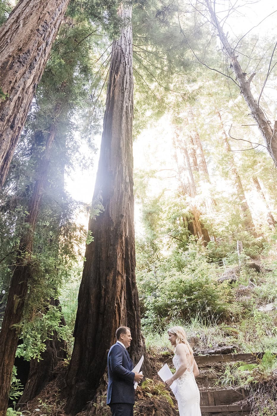 Sur Grove Big Sur portfolio 5