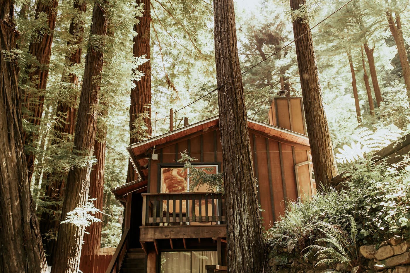 Sur Grove Big Sur