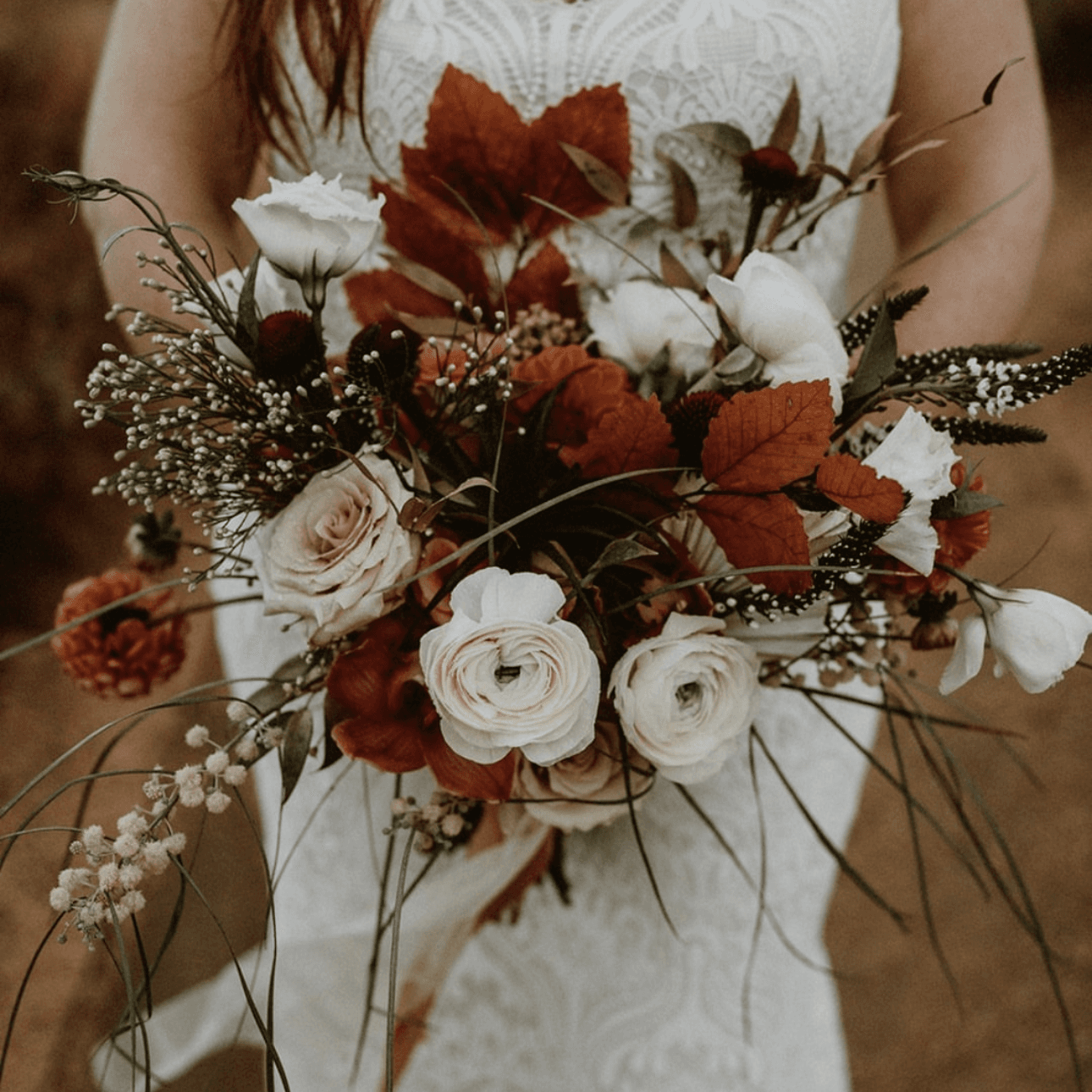 Pinyon Pine portfolio 4