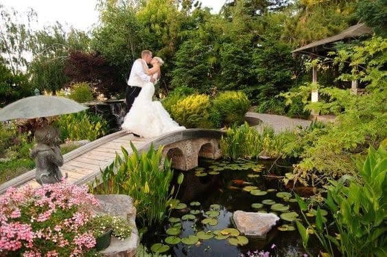 Koi Gardens