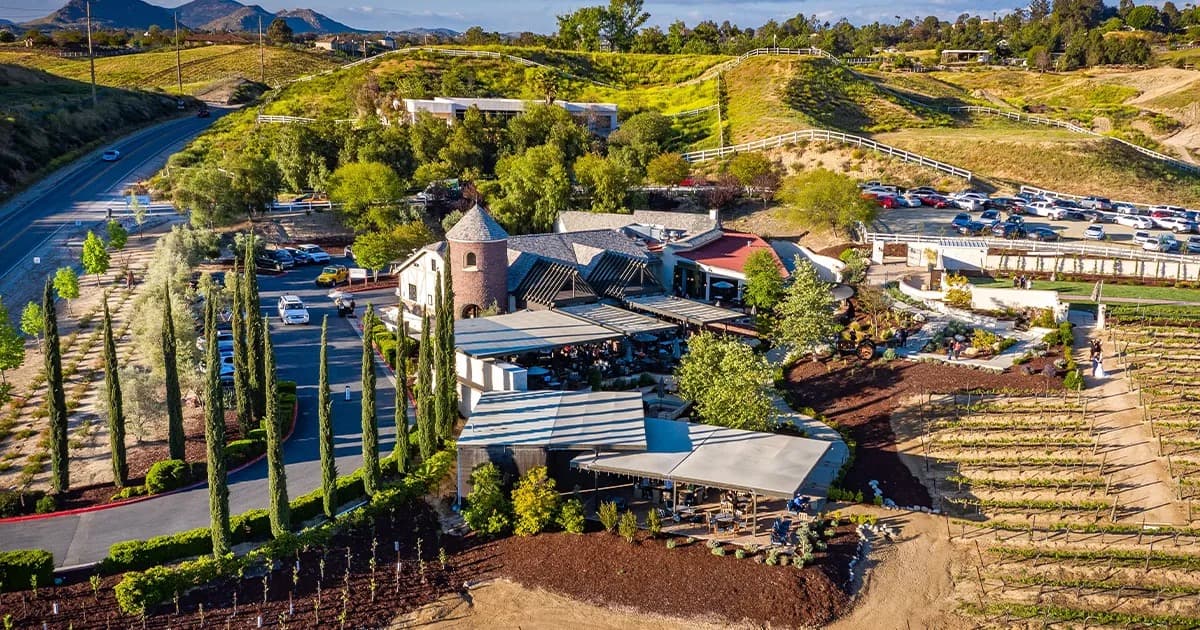 Leoness Cellars portfolio 3