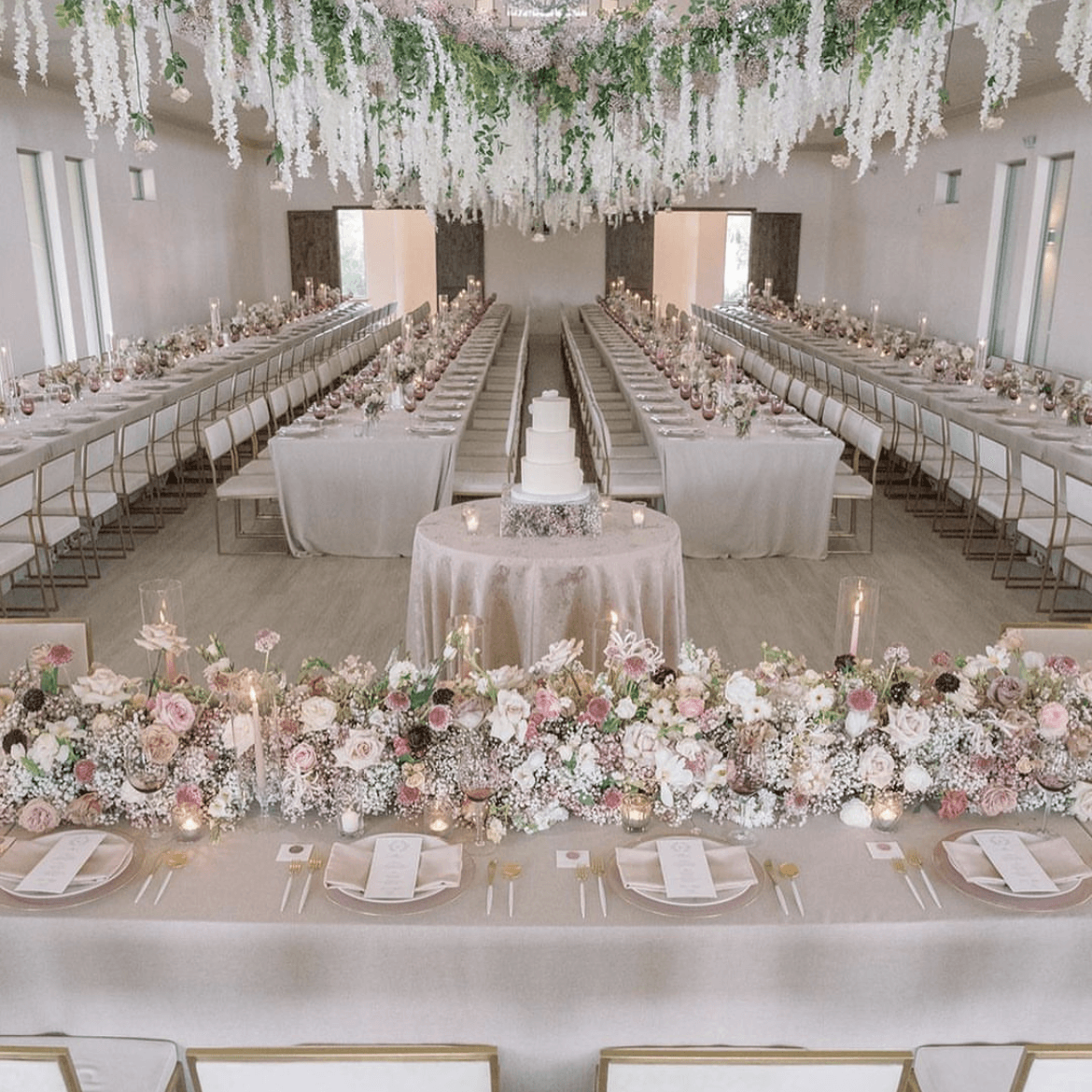 D'Vine Grace Vineyard portfolio 2