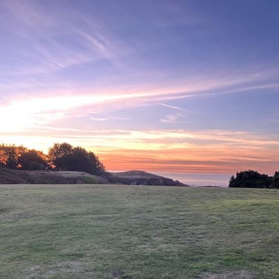 Holly's Ocean Meadow