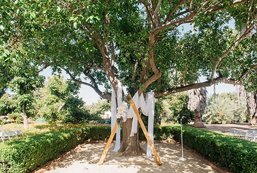Fullerton Arboretum portfolio 2