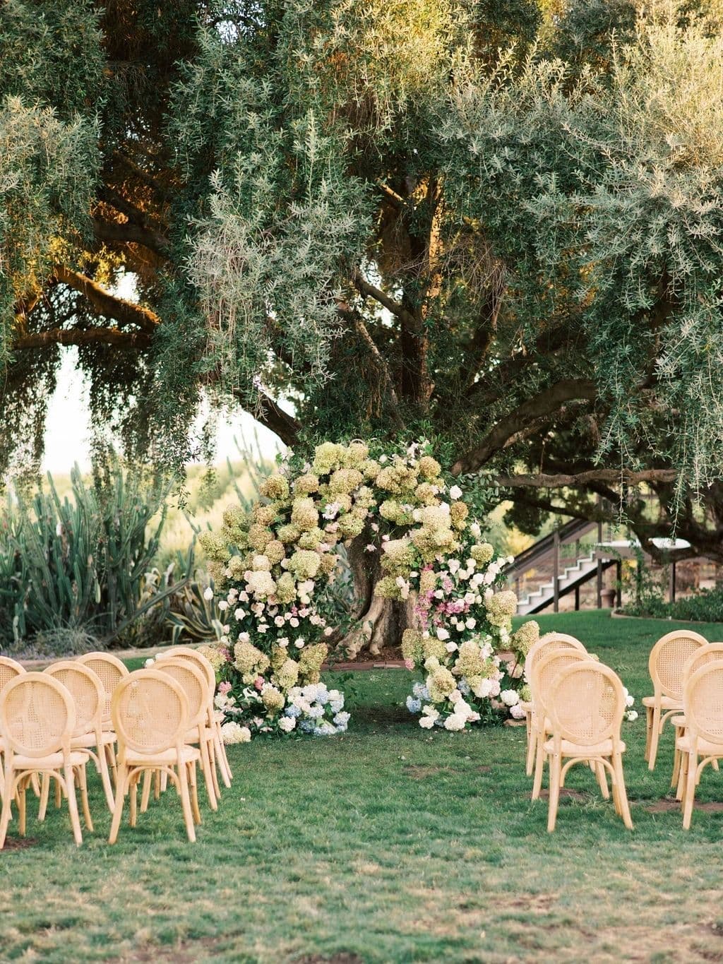 Olive Hill Estate portfolio 5