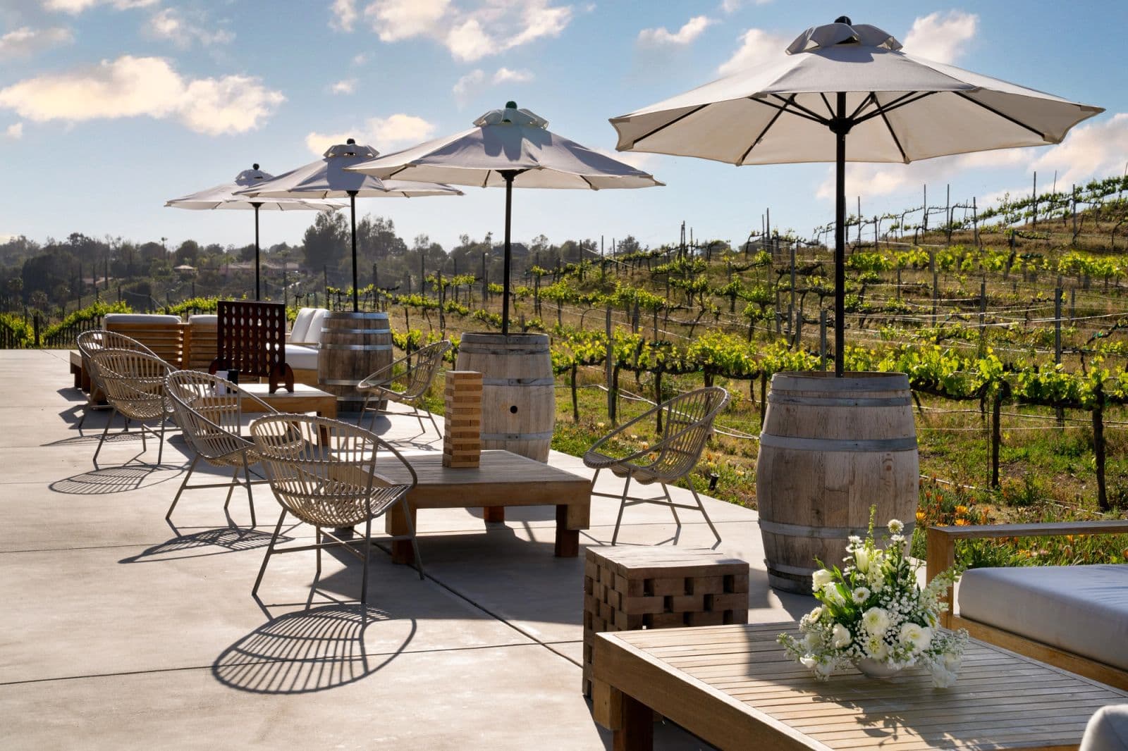 Danza del Sol Winery by Wedgewood Weddings portfolio 5
