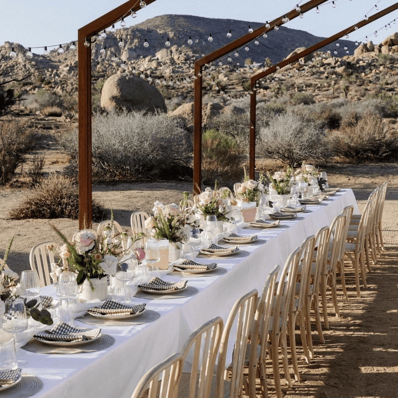 Pinyon Pine portfolio 3