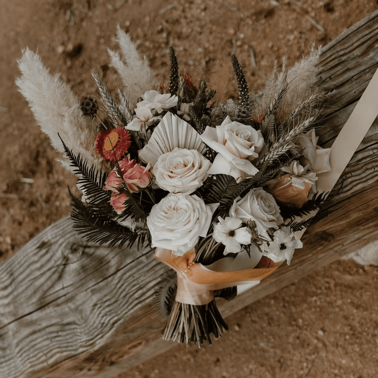 Pinyon Pine portfolio 2