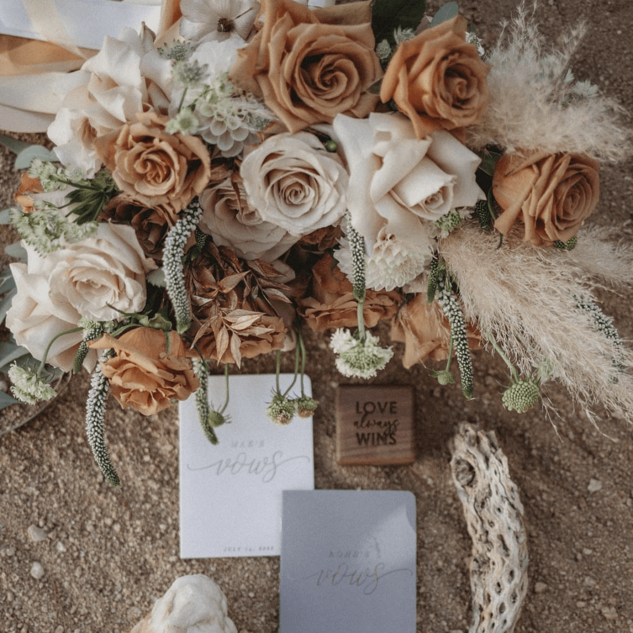 Pinyon Pine portfolio 5