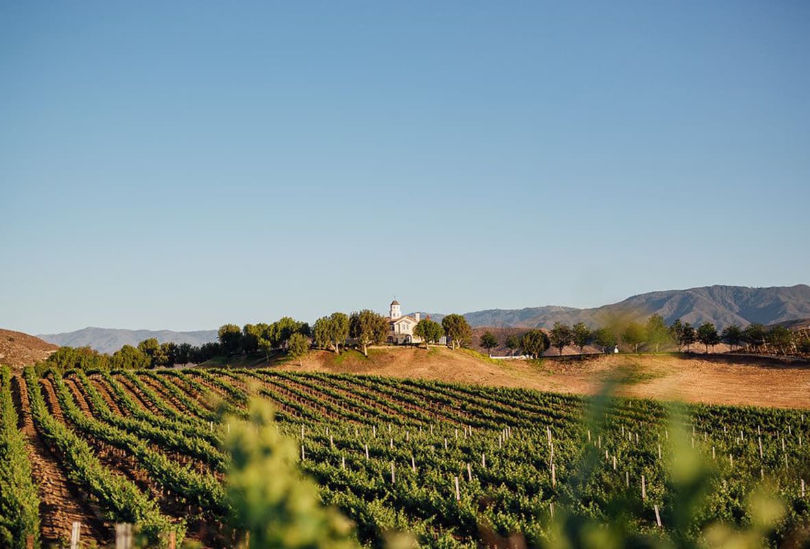 Leoness Cellars