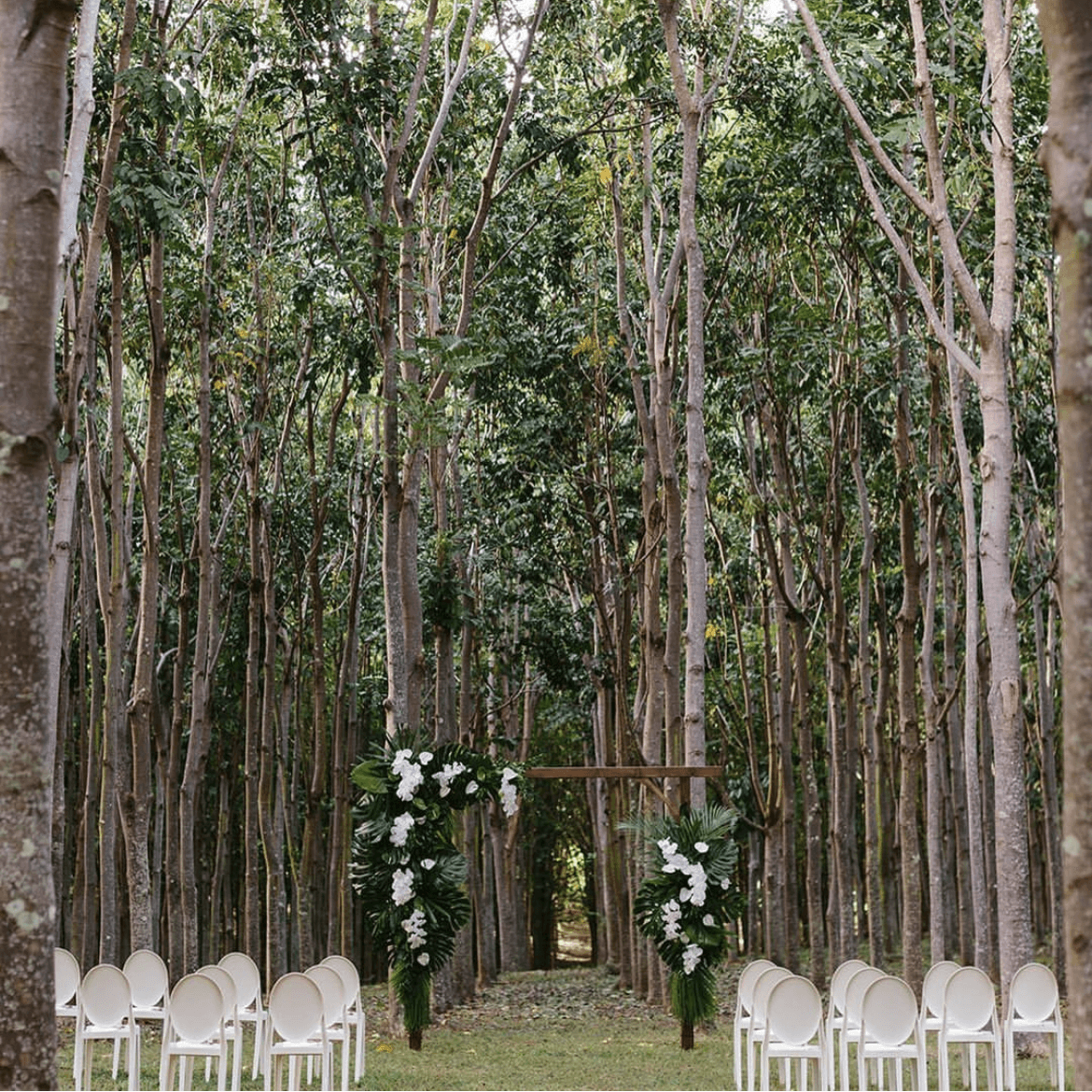 Na Aina Kai Botanical Garden & Sculpture Park 4