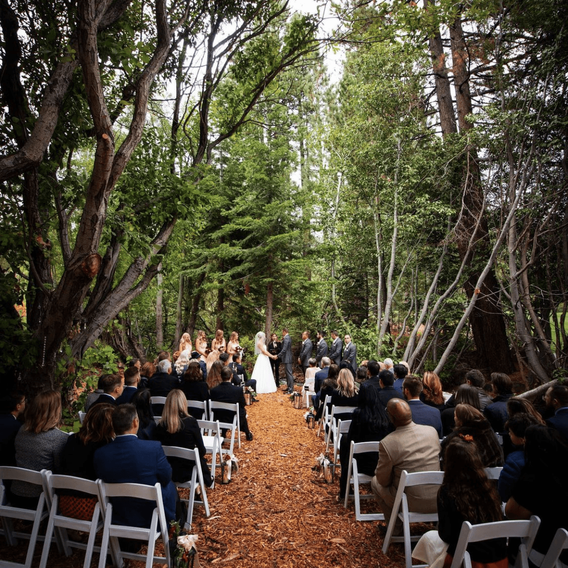 The Chateau and Aspen Grove