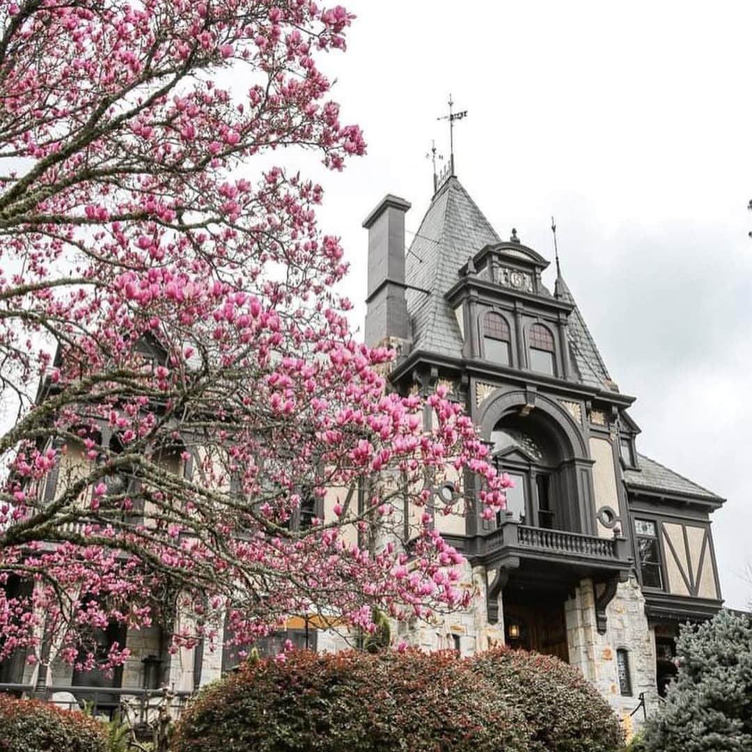 Beringer Vineyards portfolio 6