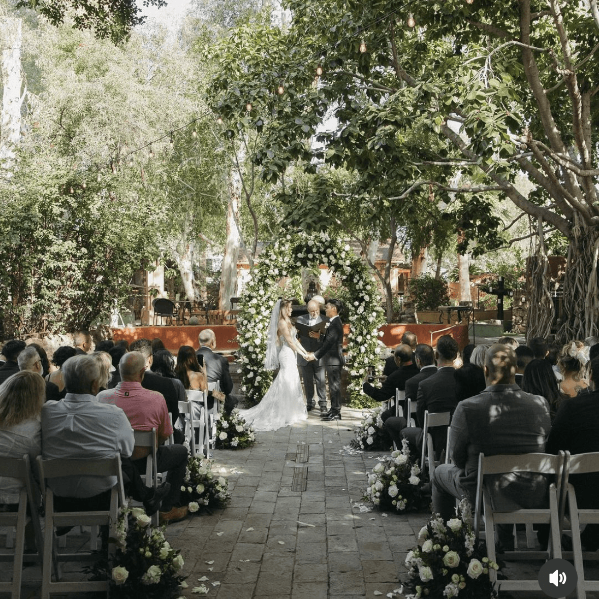 Boojum Tree Hidden Gardens portfolio 4