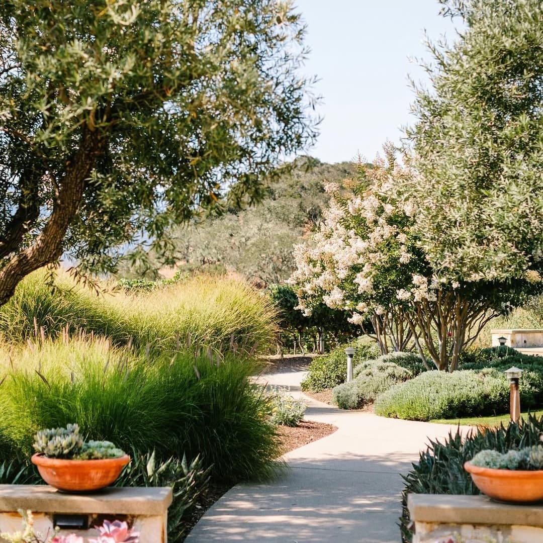 Holman Ranch portfolio 5