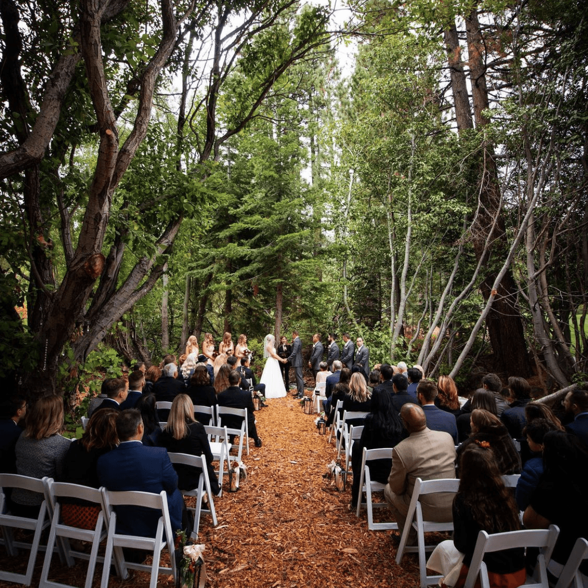 The Chateau and Aspen Grove