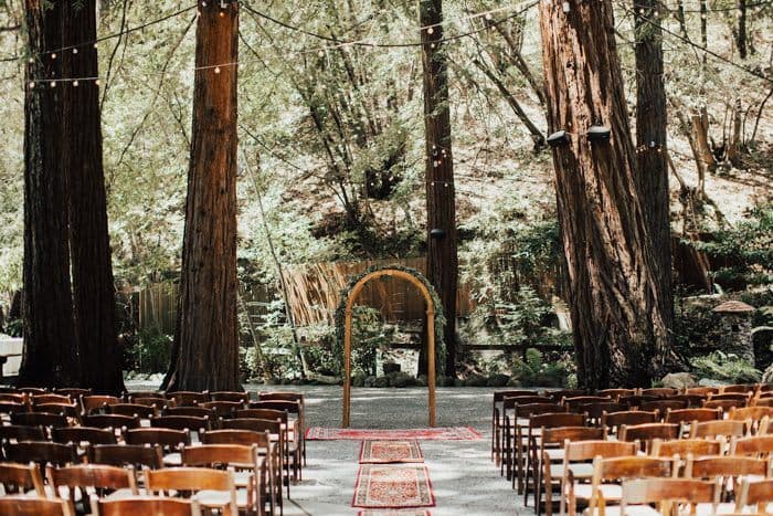 Grandpa Joe's Grove (Enchanted Forest)